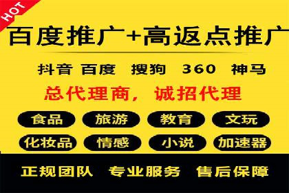 百度SEO推广案例：实战解析与效果展示
